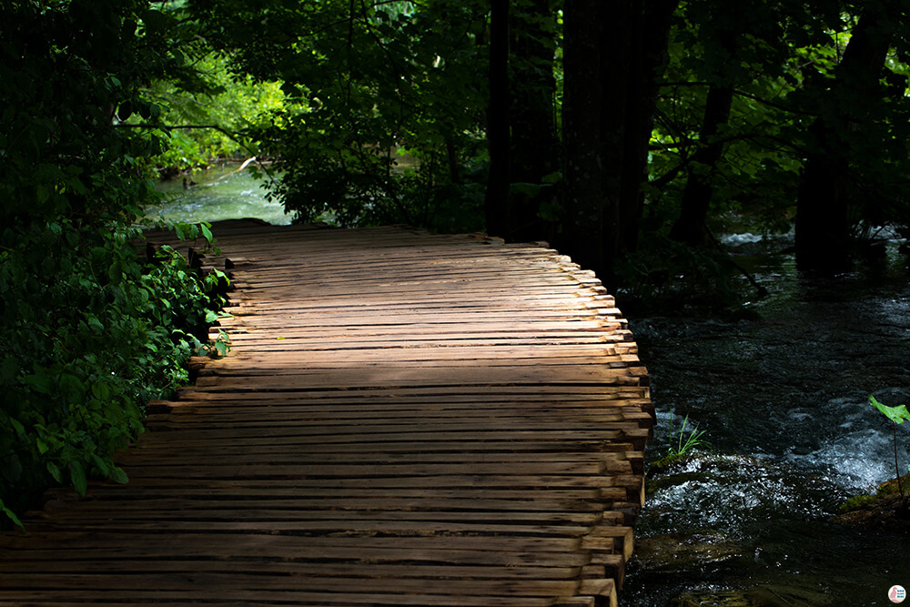 Wooden planks in Plitvice Lower Lakes, Croatia