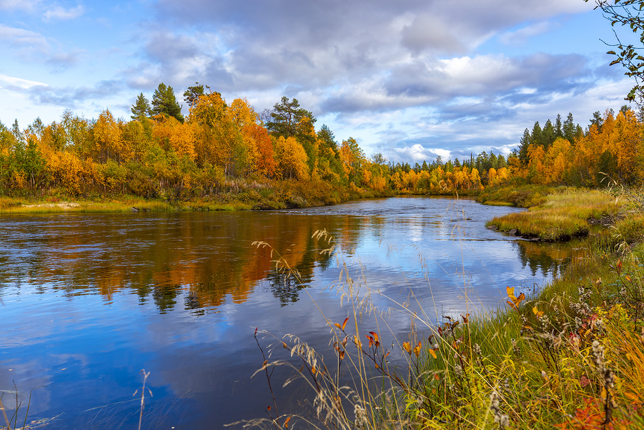 Autumn colors in Muonio area, around Ounasjoki, Lapland, Finland