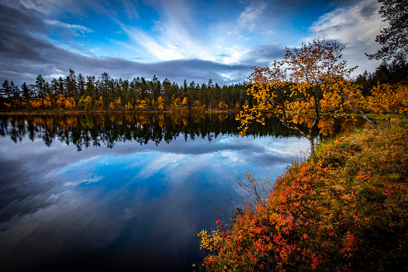 Autumn colors in Lapland, Finland