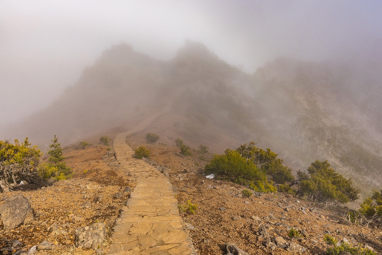 Trail that leads to Pico Ruivo, Madeira