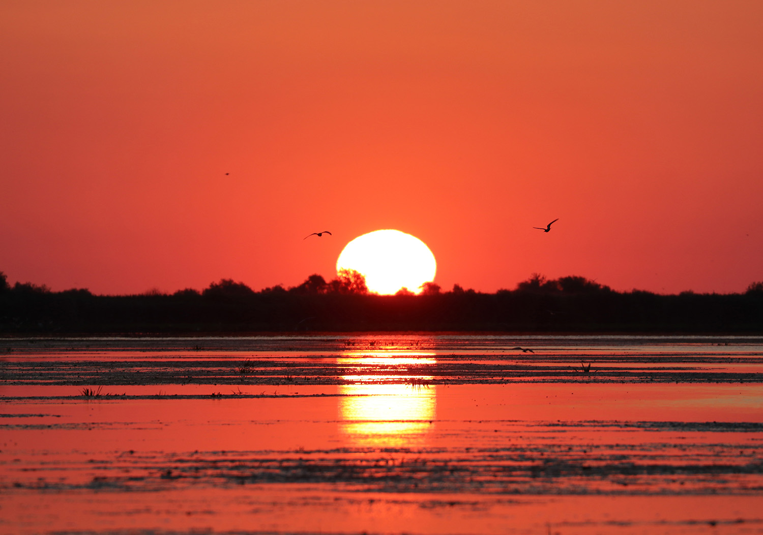   Sunset in Danube Delta, Romania