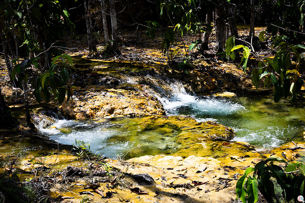 Mini waterfalls along the nature trail towards Emerald Pool, Krabi, Thailand