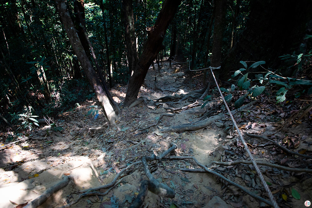 Steep descend at Khao Ngon Nak Hiking Trail (aka Dragon Crest), Krabi, Thailand