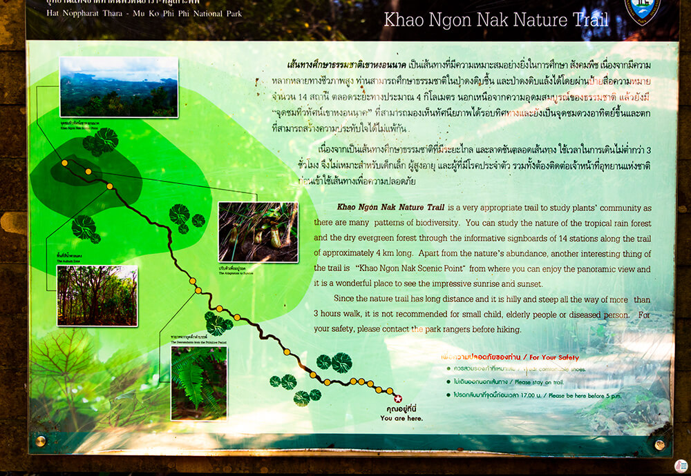 Khao Ngon Nak trail info, Krabi, Thailand