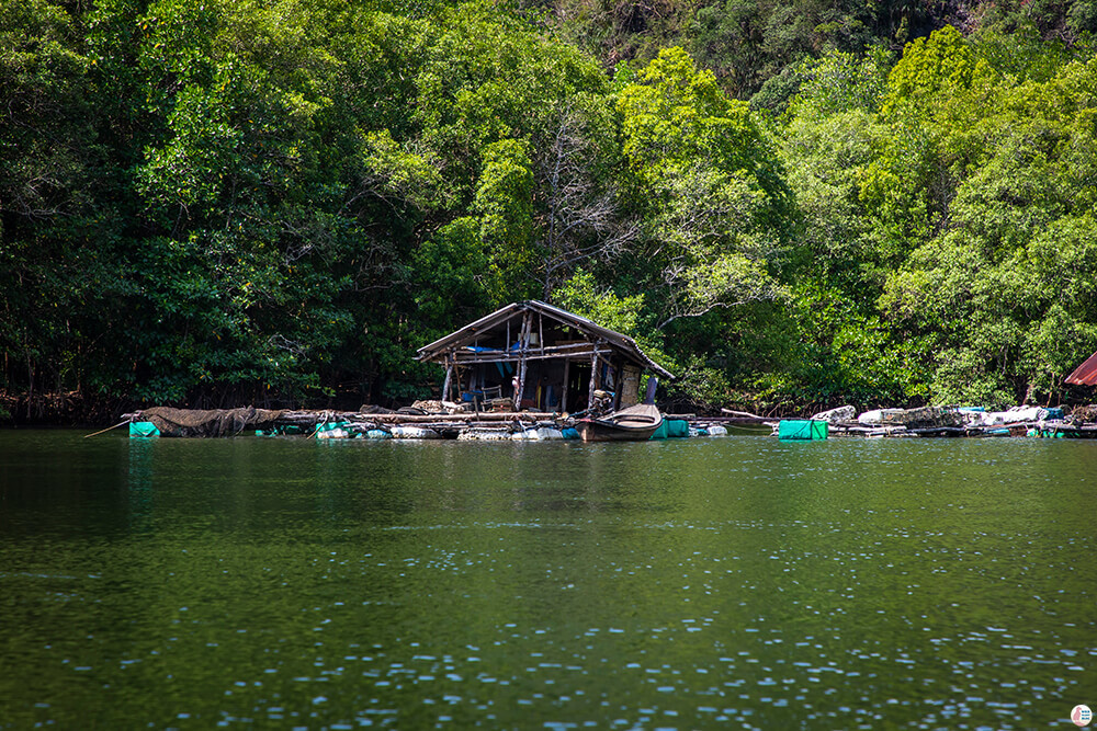 Floating fishing hut on the Tha Pring River, Than Bok Khorani National Park, Krabi, Thailand